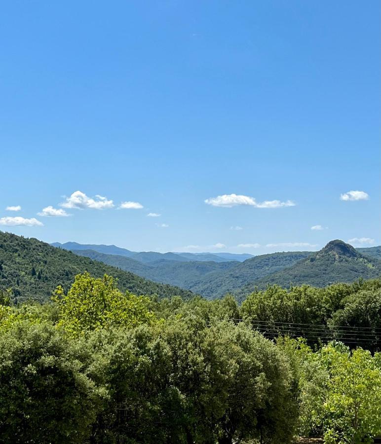 Panthoron Tzoumerka Vourgareli Exterior foto